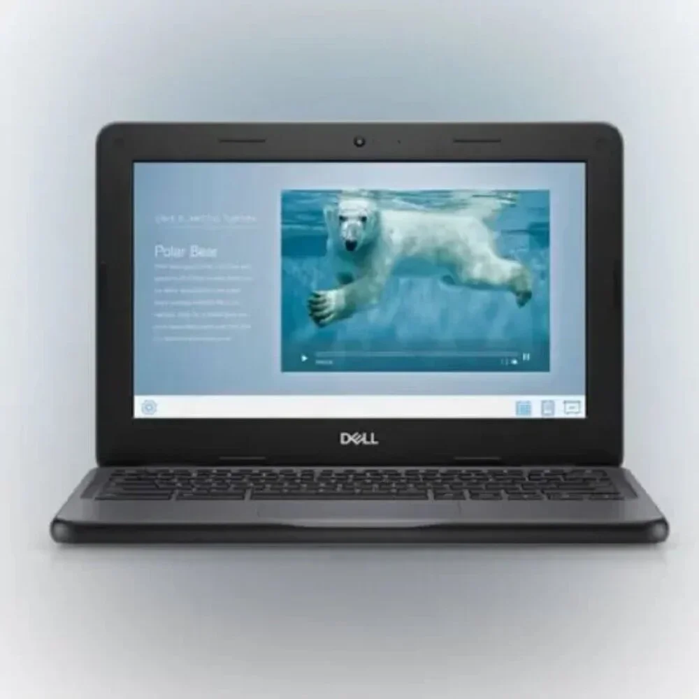 DELL 3100 CHROMEBOOK 11